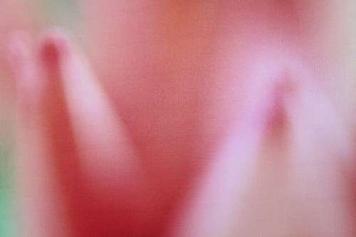 An amazing limited edition "abstract" photograph print of a flower - signed and numbered - RS17Sale