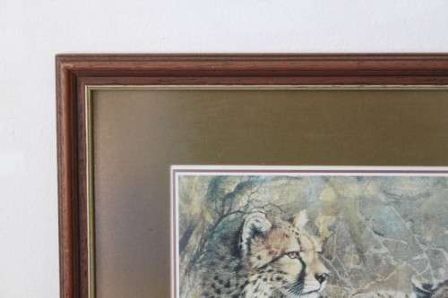 Incredible print of a group of cheetahs in the wild - stunningly framed behind glass - RS17Sale
