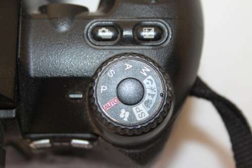 A Fujifilm FinePix S5000 Zoom with a strap in a high quality Lowepro bag