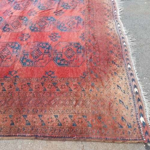 Superb HUGE antique Persian "Afghan" carpet (4.8m x 3.5m) with traditional Bokhara pattern & colours