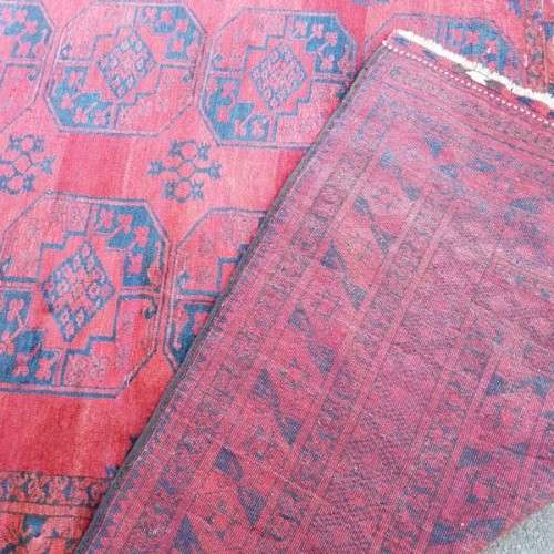 Superb HUGE antique Persian "Afghan" carpet (4.8m x 3.5m) with traditional Bokhara pattern & colours