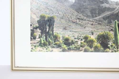 Fantastic framed colour photograph of Mt Kenya by Arthur H. Firmin who summited Batian Peak RS17Sale