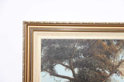 An exquisitely painted large original framed oil on board "Cape" landscape painting by "JP Wise"