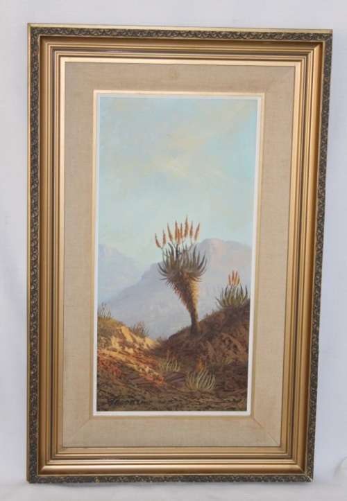 An original Jacobi oil on board painting of African Aloe in the mountains of Northern Transvaal