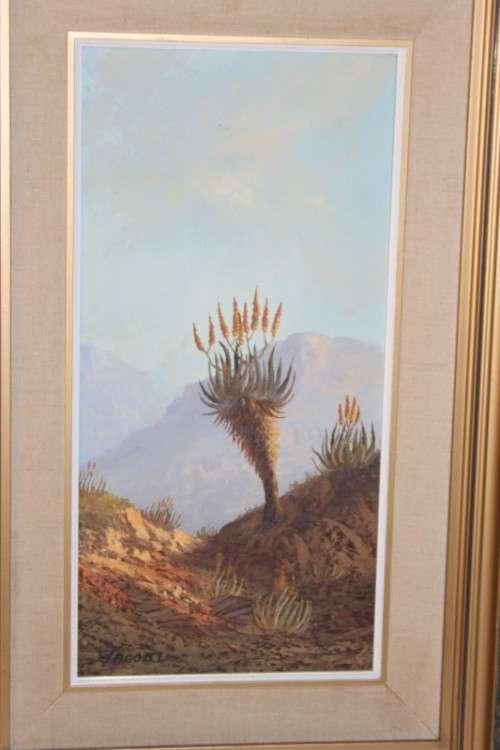 An original Jacobi oil on board painting of African Aloe in the mountains of Northern Transvaal