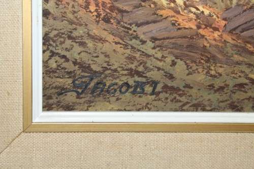 An original Jacobi oil on board painting of African Aloe in the mountains of Northern Transvaal