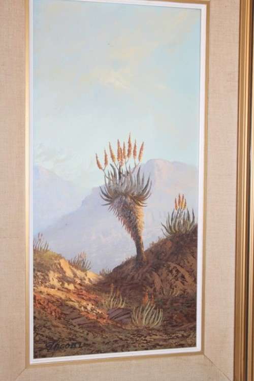 An original Jacobi oil on board painting of African Aloe in the mountains of Northern Transvaal
