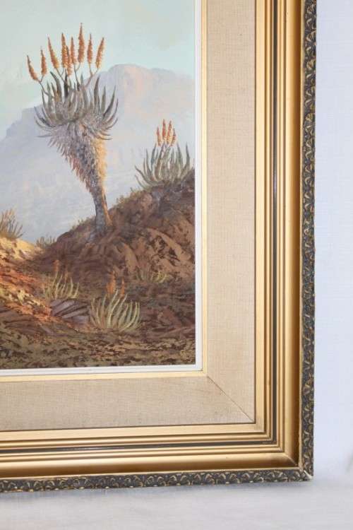 An original Jacobi oil on board painting of African Aloe in the mountains of Northern Transvaal