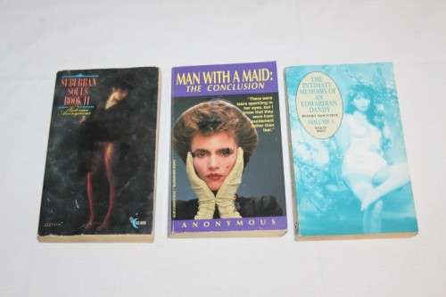 A great collection of 21x assorted erotica novel softcover books; perfect for retail bid/book RS17