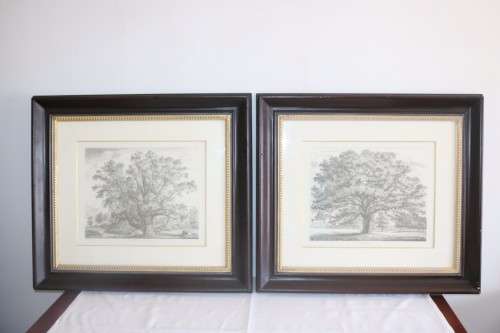 Two exquisitely framed (behind glass) J.G. Strutt titled etching prints - price/print