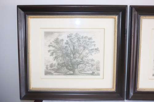 Two exquisitely framed (behind glass) J.G. Strutt titled etching prints - price/print