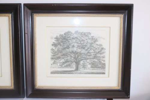 Two exquisitely framed (behind glass) J.G. Strutt titled etching prints - price/print