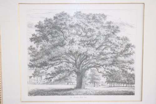 Two exquisitely framed (behind glass) J.G. Strutt titled etching prints - price/print