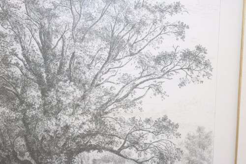 Two exquisitely framed (behind glass) J.G. Strutt titled etching prints - price/print
