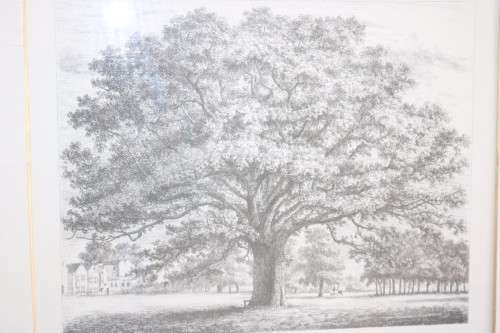 Two exquisitely framed (behind glass) J.G. Strutt titled etching prints - price/print