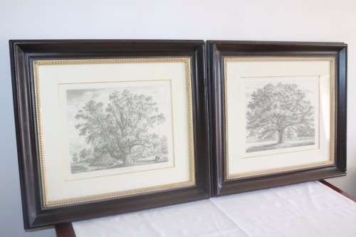 Two exquisitely framed (behind glass) J.G. Strutt titled etching prints - price/print