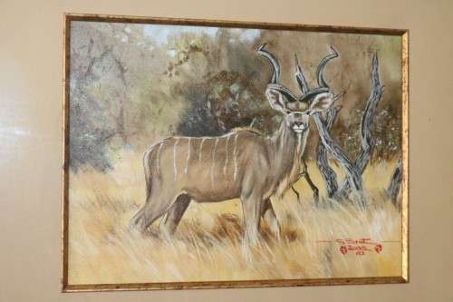 An amazing original signed "Gerhard Smit" framed painting of a Kudu - stunning art - RS17AB
