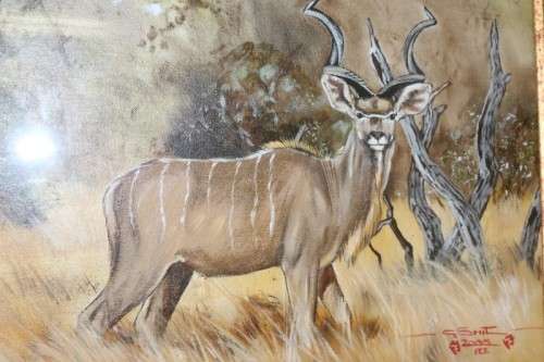 An amazing original signed "Gerhard Smit" framed painting of a Kudu - stunning art - RS17AB