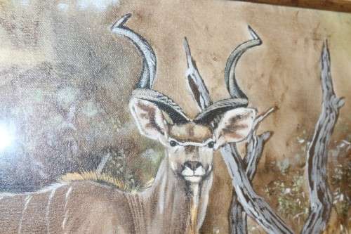 An amazing original signed "Gerhard Smit" framed painting of a Kudu - stunning art - RS17AB
