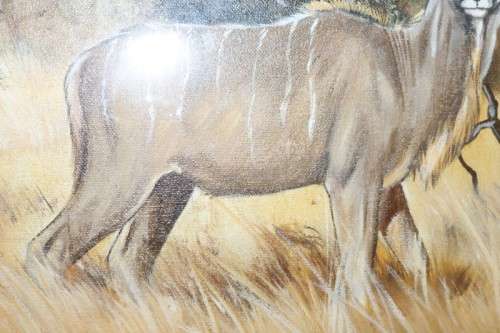 An amazing original signed "Gerhard Smit" framed painting of a Kudu - stunning art - RS17AB