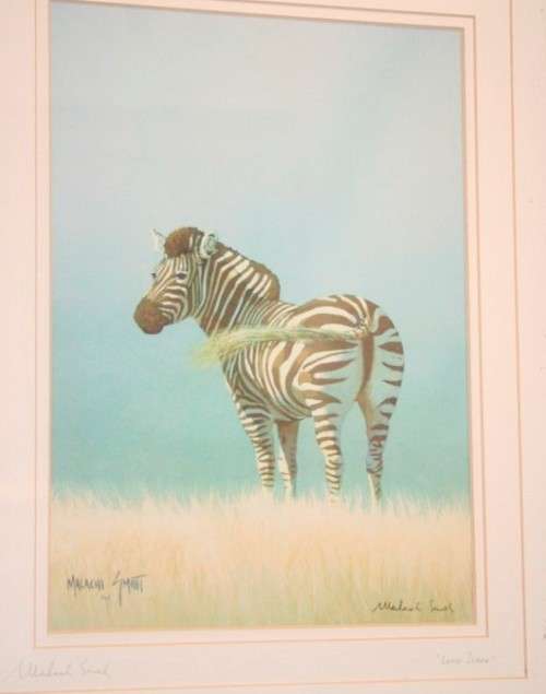 A beautifully framed and signed "Malachi Smith" collectable print titled "Lone Zebra" - RS17Sale
