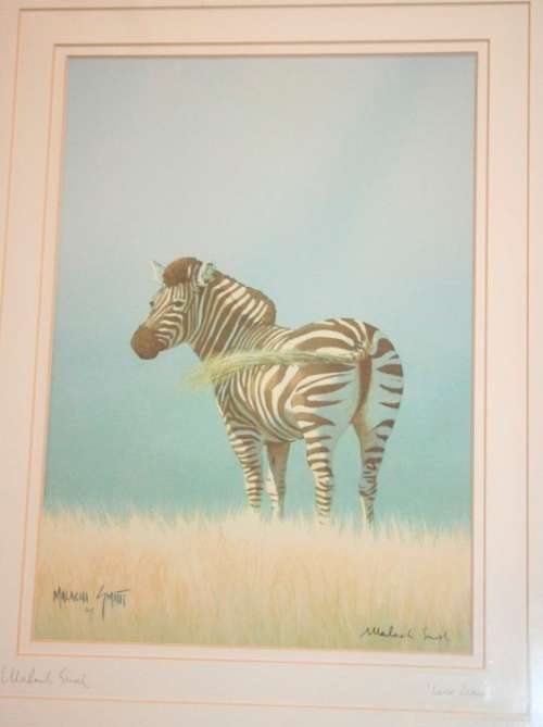 A beautifully framed and signed "Malachi Smith" collectable print titled "Lone Zebra" - RS17Sale
