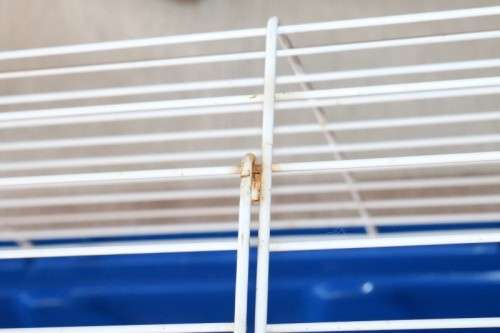 A well made plastic and steel pet (bunny, hamster etc) cage with an auto water dispenser