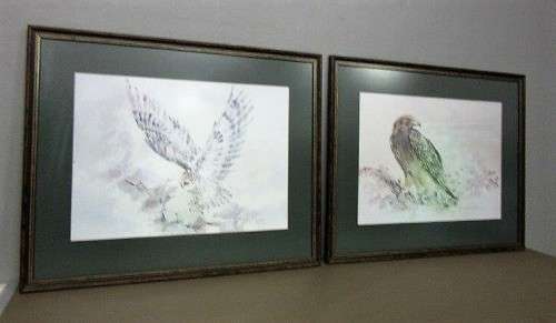 Two stunning (framed behind glass) wildlife birds-of-pray watercolour painting prints - RS17Sale
