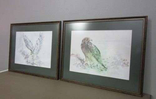 Two stunning (framed behind glass) wildlife birds-of-pray watercolour painting prints - RS17Sale