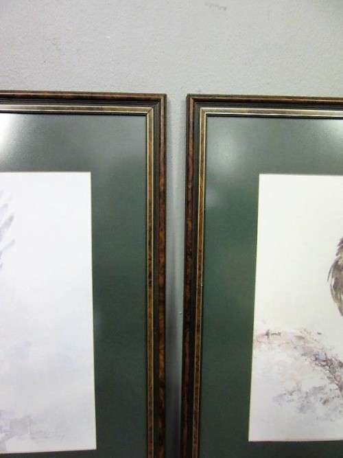 Two stunning (framed behind glass) wildlife birds-of-pray watercolour painting prints - RS17Sale
