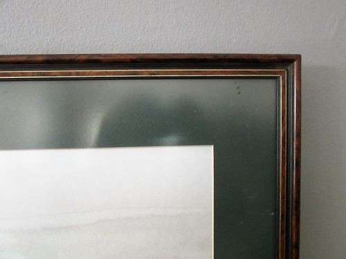 Two stunning (framed behind glass) wildlife birds-of-pray watercolour painting prints - RS17Sale