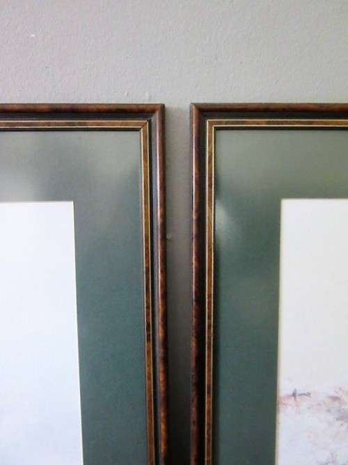 Two stunning (framed behind glass) wildlife birds-of-pray watercolour painting prints - RS17Sale