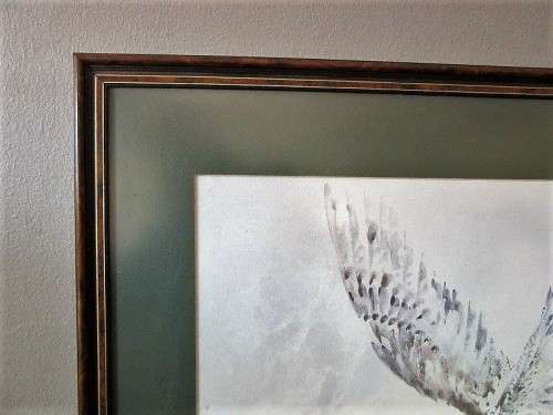Two stunning (framed behind glass) wildlife birds-of-pray watercolour painting prints - RS17Sale