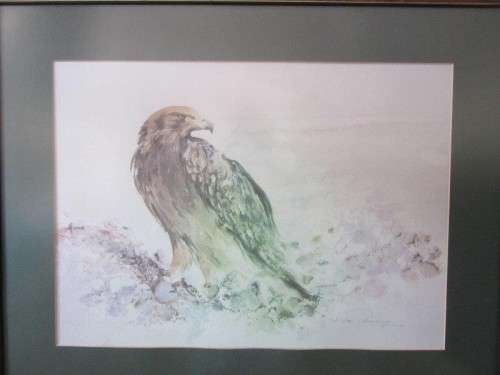 Two stunning (framed behind glass) wildlife birds-of-pray watercolour painting prints - RS17Sale