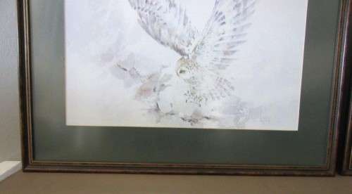 Two stunning (framed behind glass) wildlife birds-of-pray watercolour painting prints - RS17Sale