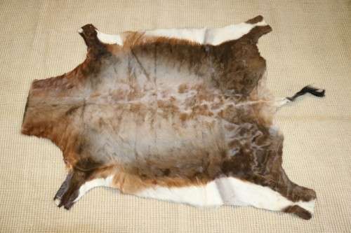 **RS17** An awesome (1,4m x 1,1m) genuine Blesbok skin/ hide mat in great condition