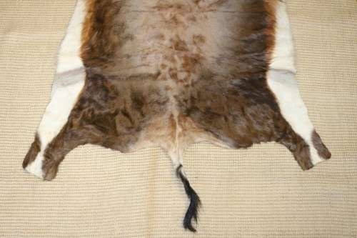 **RS17** An awesome (1,4m x 1,1m) genuine Blesbok skin/ hide mat in great condition