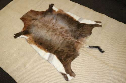 **RS17** An awesome (1,4m x 1,1m) genuine Blesbok skin/ hide mat in great condition