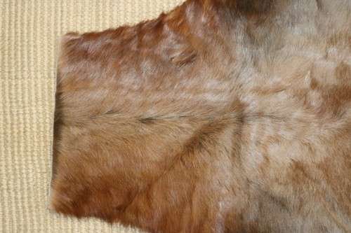 **RS17** An awesome (1,4m x 1,1m) genuine Blesbok skin/ hide mat in great condition