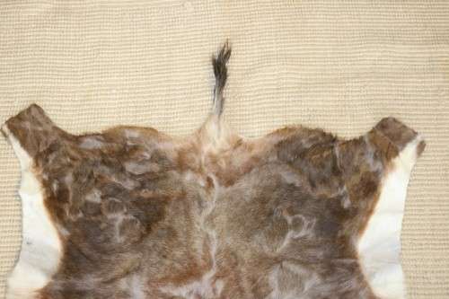 **RS17** An amazing (1,3m x 1m) genuine Blesbok skin/ hide mat in great condition