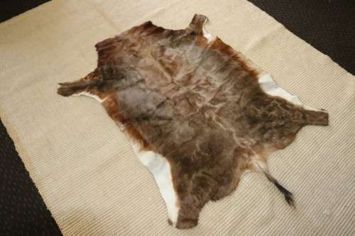 **RS17** An amazing (1,3m x 1m) genuine Blesbok skin/ hide mat in great condition