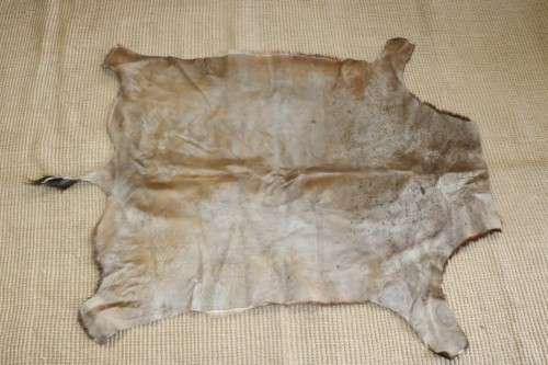 **RS17** An amazing (1,3m x 1m) genuine Blesbok skin/ hide mat in great condition