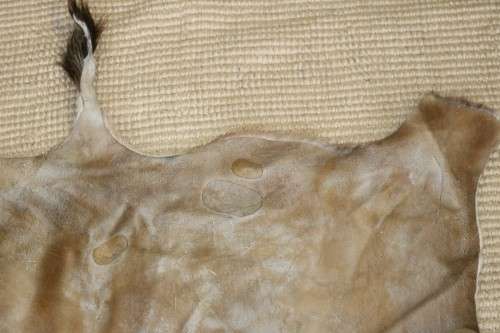 **RS17** An amazing (1,3m x 1m) genuine Blesbok skin/ hide mat in great condition