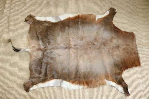 **RS17** A fantastic (1,4m x 1m) genuine Blesbok skin/ hide mat in great condition