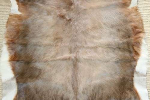 **RS17** A fantastic (1,4m x 1m) genuine Blesbok skin/ hide mat in great condition