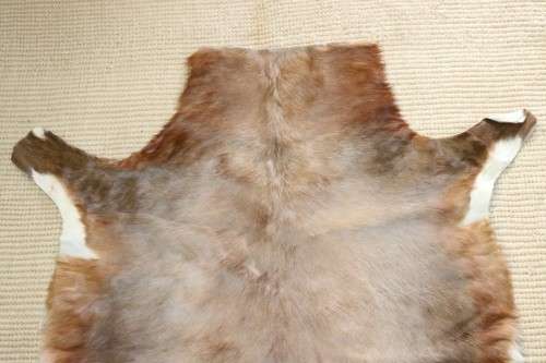 **RS17** A fantastic (1,4m x 1m) genuine Blesbok skin/ hide mat in great condition