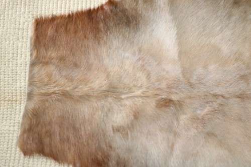 **RS17** A fantastic (1,4m x 1m) genuine Blesbok skin/ hide mat in great condition