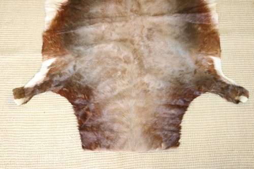 **RS17** An awesome (1,3m x 1m) genuine Blesbok skin/ hide mat in great condition