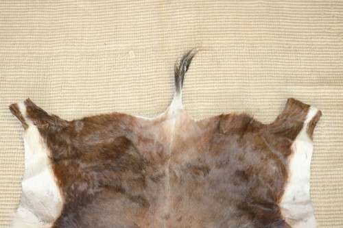 **RS17** An awesome (1,3m x 1m) genuine Blesbok skin/ hide mat in great condition