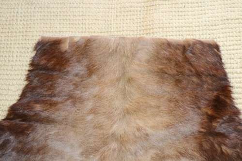 **RS17** An awesome (1,3m x 1m) genuine Blesbok skin/ hide mat in great condition